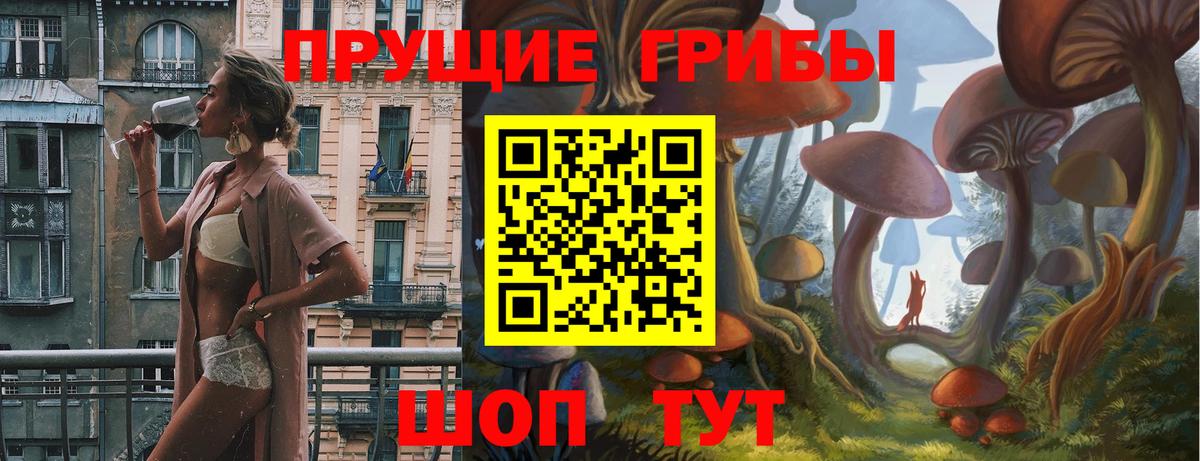 Галлюциногенные грибы Cubensis  Вход с VPN  Асбест  Псилоцибиновые грибы Cubensis 